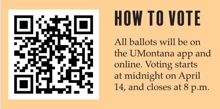 How to vote